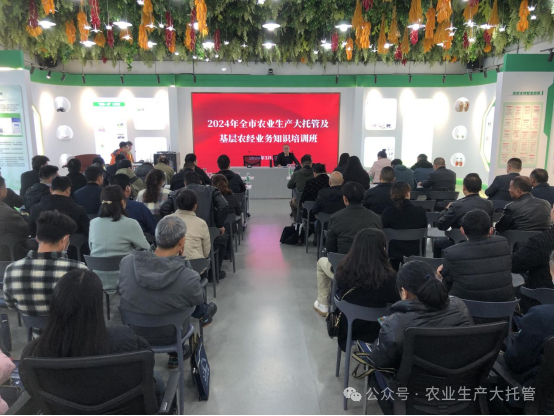 農管家公司開展2024年全市農業(yè)生產大托管及基層農經業(yè)務知識培訓